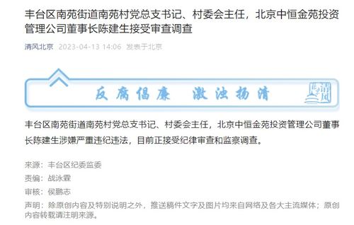 權力背后 豐臺南苑村黨總支書記陳建生被查的警示